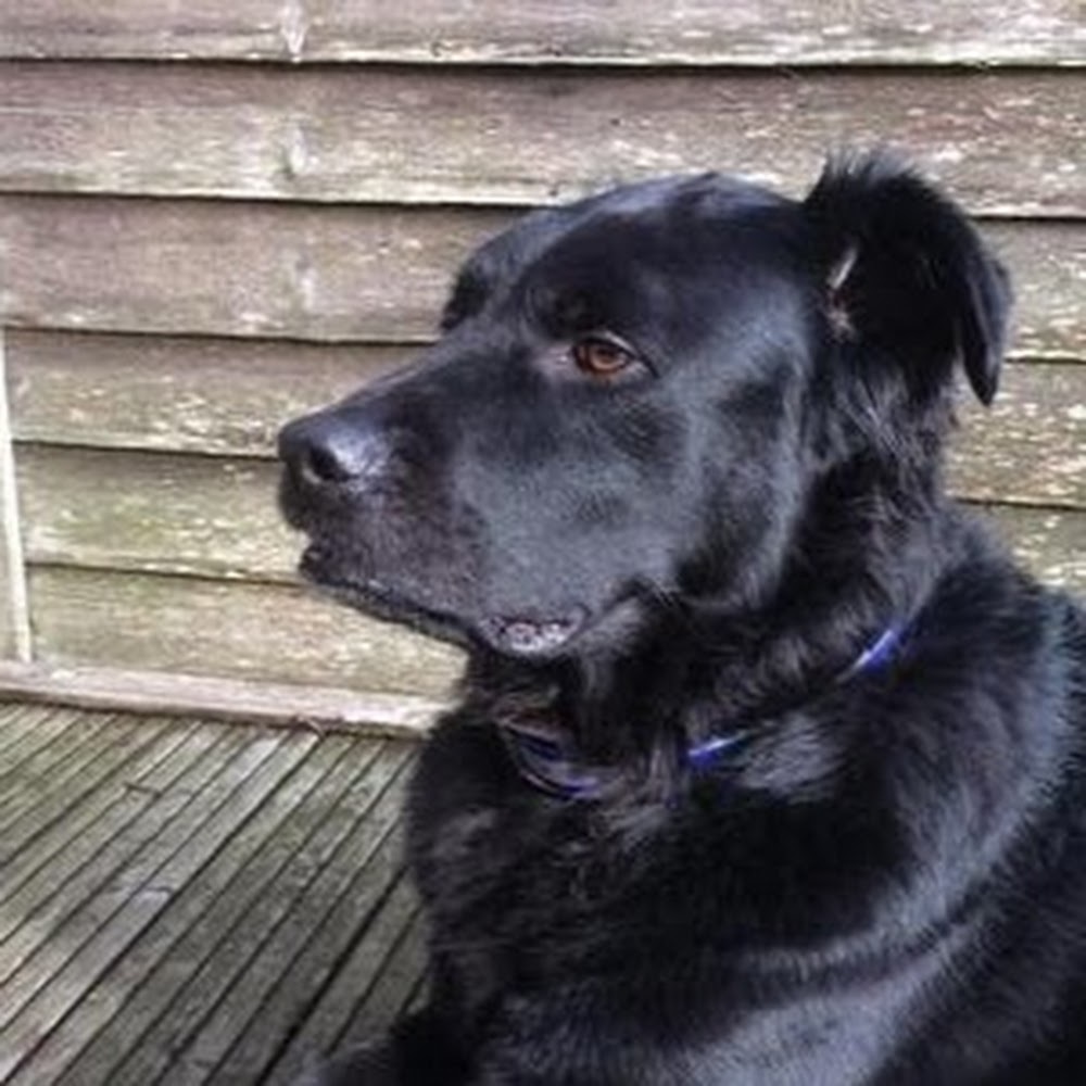 Meet your Posher, Isabelle